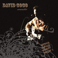 David Gogo - Acoustic